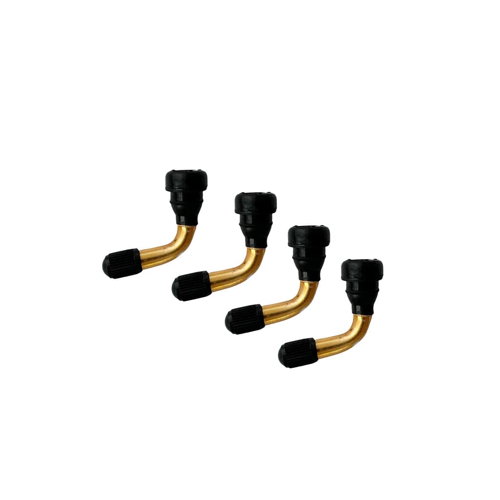Skateboard Tubeless Ventil